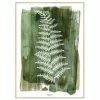 Malerifabrikken Gerahmter Digitaldruck White Fern 1 Malerifabrikken Gerahmter Digitaldruck White Fern -Andrea House Store 1221696