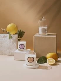 Parks London Duftkerze Aromatherapy (Lavendel) 4 Parks London Duftkerze Aromatherapy (Lavendel) – Bild 2