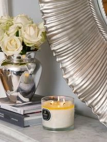 Kerzen Kerzenhalter Verkaufsgeschäft 15 Kerzen Kerzenhalter Verkaufsgeschäft -Andrea House Store 1542743