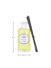 Kerzen Kerzenhalter Verkaufsgeschäft 5 Kerzen Kerzenhalter Verkaufsgeschäft -Andrea House Store 1575037