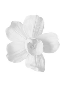 Jotex Wandobjekt Orchid, Verschiedene Größen